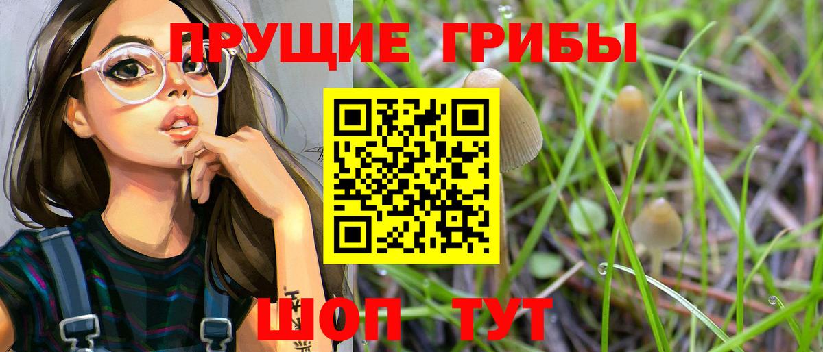 Псилоцибиновые грибы Psilocybine cubensis Канаш