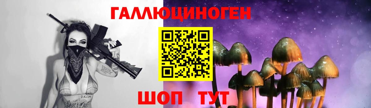 даркнет сайт  Псилоцибиновые грибы прущие грибы  Вход с VPN  Канаш 